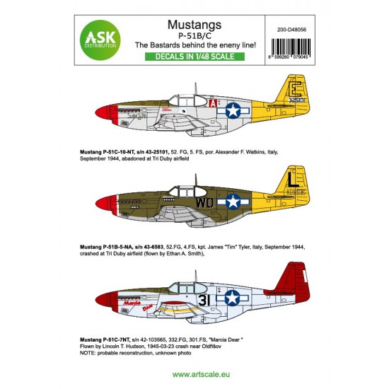 1/48 P-51B Mustang Decal - The Bastards Behind the Enemy Lines!