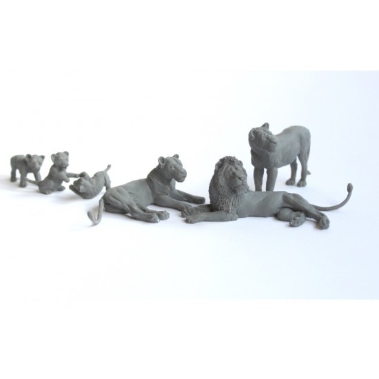 1/35 (54mm) Wild Life Series - Family of Lions (6pcs, resin)