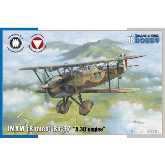 1/48 Interwar Italian IMAM (Romeo) Ro.37 "A30 Engine"