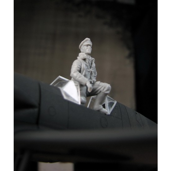 1/48 Luftwaffe Pilot