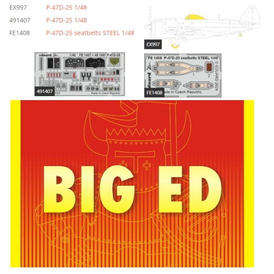 1/48 Republic P-47D-25 Thunderbolt Super Detail Set for MiniArt kits