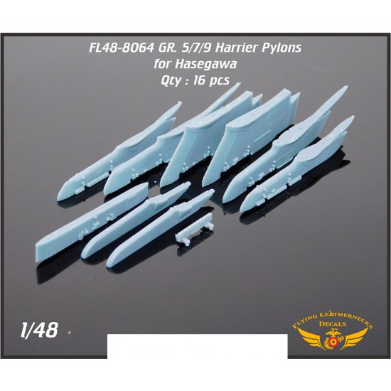 1/48 Harrier GR.5/7/9 Weapons Pylons for Hasegawa kits