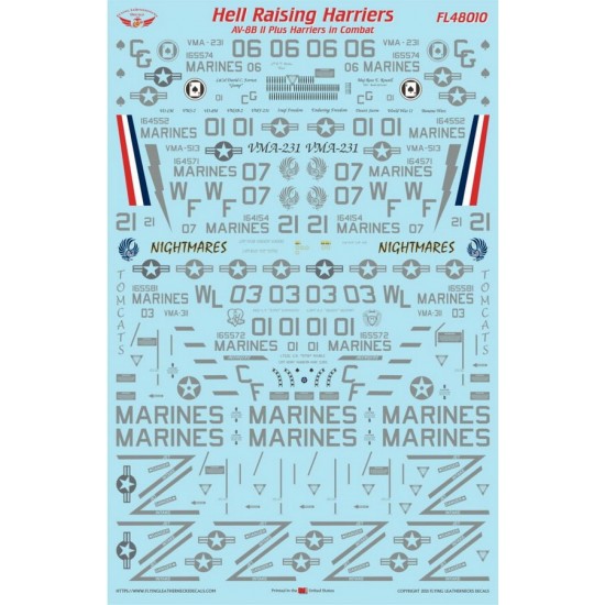 1/48 AV-8B II Plus Hell Raising Harriers Waterslide Decals