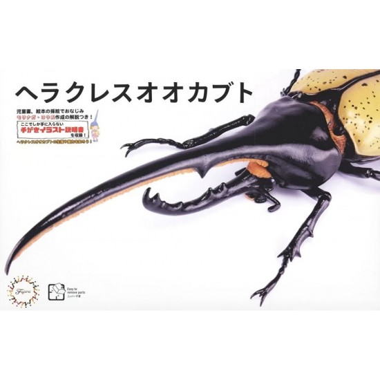 Biology Edition Dynastes Hercules You Morinaga Explanatory (movable)