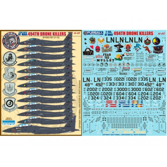 1/48 USAF F-15E Drone Killers 494th Fighter Squadron Decal