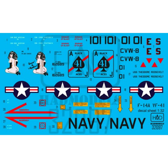 Decal for 1/32 F-14A Desert Storm Queen of Spades