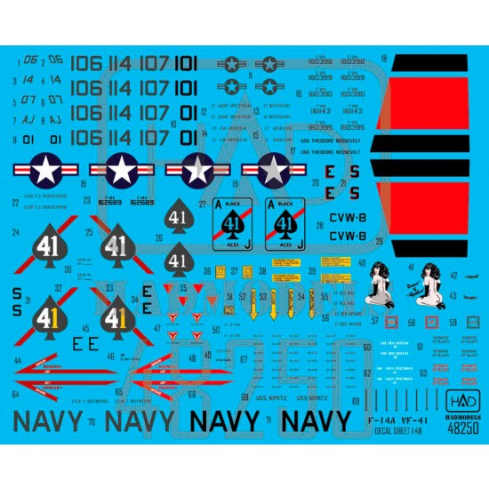 Decal for 1/48 F-14A 'Black Aces' Final Countdown