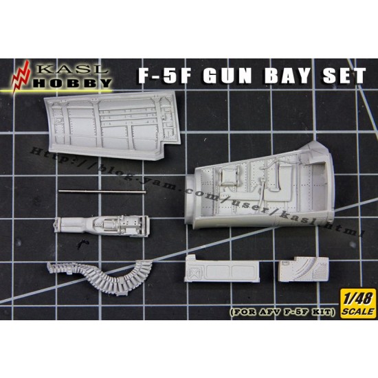 1/48 F-5F Tiger II Gun Bay Set for AFV Club kits