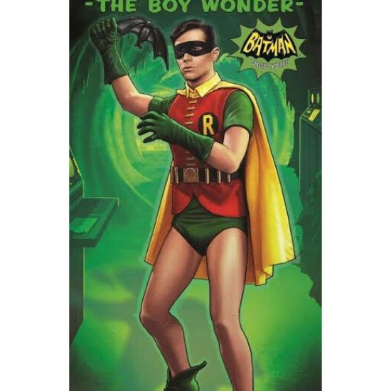 1/8 1966 Robin Assembly Figure Kit