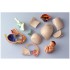 4D Human Series Puzzle - Pregnancy Pelvis Anatomy Model 