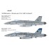 Decals for 1/48 F/A18C Hornet VFA-81 Sunliners 1991 