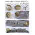 1/350 USN LCAC Upgrade set (2 vessels) for Trumpeter & MRC #64005