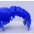 Crayfish (Procambarus clarkii) #Blue (23x14x6cm) [FI 24 EX1]