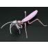 Tenodera Aridifolia ver.Evangelion Prouction Model 08 (195mm x 73mm x 150mm)