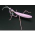 Tenodera Aridifolia ver.Evangelion Prouction Model 08 (195mm x 73mm x 150mm)