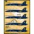 Decals for 1/48 US Navy F/A-18E/F Flight Demo Team 2021