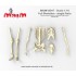 1/16 Human Skeleton Single Bones Set