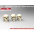 1/24 Human Skulls Set