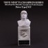 1/12 "Dive Nine" Figure F1 Champion Series - Driver Type J.M.F Bust 