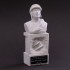 1/12 "Dive Nine" Figure F1 Champion Series - Driver Type J.M.F Bust 