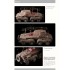 Nuts & Bolts Vol.36 - Bussing's Schwere Panzerspahwagen Part.2 SdKfz.233 & 263