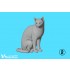 1/20 Cats For Cat Lovers (5pcs)