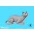 1/20 Cats For Cat Lovers (5pcs)