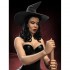 1/24 Witch Pinup Girl Halloween