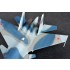 1/72 Russian Sukhoi Su-33UB Flanker D