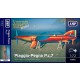 1/72 Piaggio Pegna PC.7 Racing Seaplane