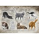 1/35 Cats Set Vol.3 (7pcs)