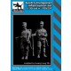 1/35 Austro - Hungarian Infantryman (2 figures)