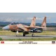 1/72 Mitsubishi F-15DJ Eagle "Aggressor Desert Scheme"