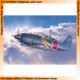 1/48 Mitsubishi J2M3 Raiden 352 Flying Group Limited Edition