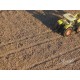 1/87 Soil Mix Arable Field (225g)