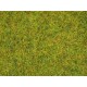 G,O,HO,TT,N,Z Scale Scatter Grass "Summer Meadow" (Length: 2.5mm, 100g)