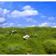 Landscape Mat - Wild Meadow and Hills Summer (Size: approx. 20 x 30cm, thick: 1cm)