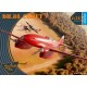 1/72 de Havilland DH.88 Comet [Advanced Kit]