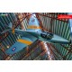 1/32 Hawker Hunter T.7-T.7A