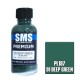 Acrylic Lacquer Paint - Premium D1 Deep Green (30ml)