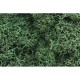 Ground Cover - Lichen #Light Green (coverage area = 86.6 in3 / 1410cm3)